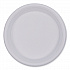 Hi-Impact Plastic Dinnerware, Plate, 10