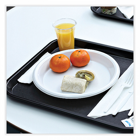 Hi-Impact Plastic Dinnerware, Plate, 10