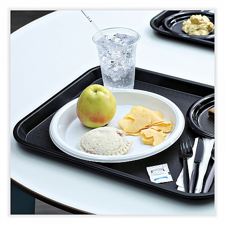 Hi-Impact Plastic Dinnerware, Plate, 10