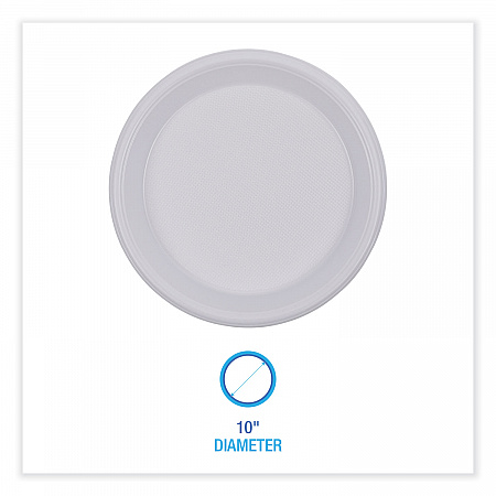 Hi-Impact Plastic Dinnerware, Plate, 10