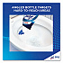Disinfectant Toilet Bowl Cleaner, Atlantic Fresh Scent, 24 oz Angle-Neck Bottle, 9/Carton (98012)