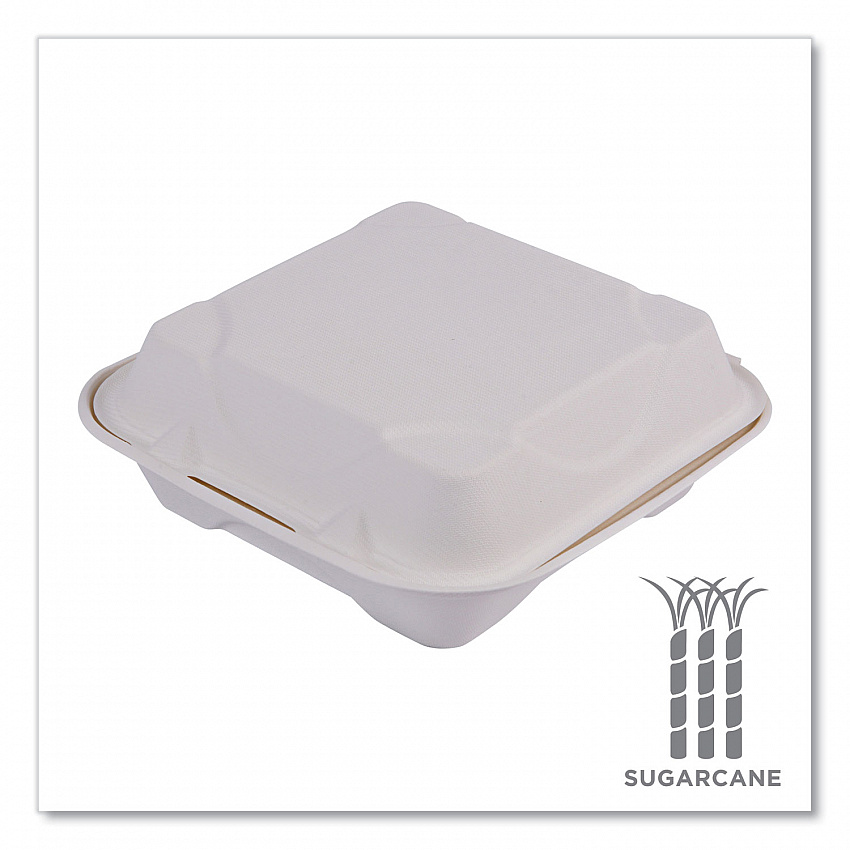 Molded Fiber Hinged Clamshell Containers, 8 x 8 x 3, White, Sugarcane, 200/Carton (EPHC81)