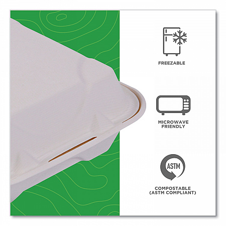 Molded Fiber Hinged Clamshell Containers, 8 x 8 x 3, White, Sugarcane, 200/Carton (EPHC81)
