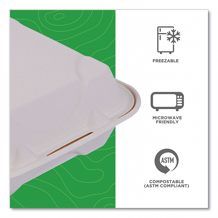 Molded Fiber Hinged Clamshell Containers, 8 x 8 x 3, White, Sugarcane, 200/Carton (EPHC81)