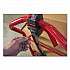 Motorized Kit for 24