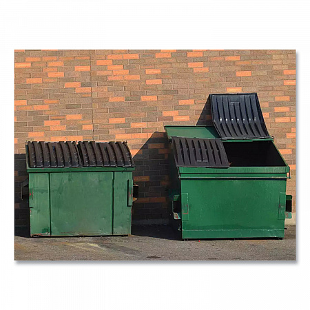 Dumpster Treatment, Mango, 1 gal Bottle, 4/Carton (26090400)