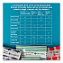 Peel and Seal Sandwich Bag with Closure Strip, 6.3
