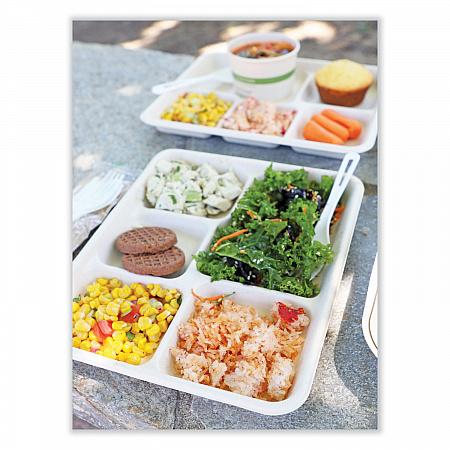 Fiber Foodservice Trays, 5 Compartments, 8.5 x 10.24 x 1.01, Natural, Paper, 400/Carton (TRSC5CLFS)