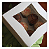 Bakery Boxes, 9 x 9 x 4, White, Paper, 150/Carton (24293)