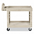 BRUTE Heavy-Duty Utility Cart with Lipped Shelves, Plastic, 2 Shelves, 500 lb Capacity, 25.9
