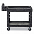 BRUTE Heavy-Duty Utility Cart with Lipped Shelves, Plastic, 2 Shelves, 750 lb Capacity, 25.25