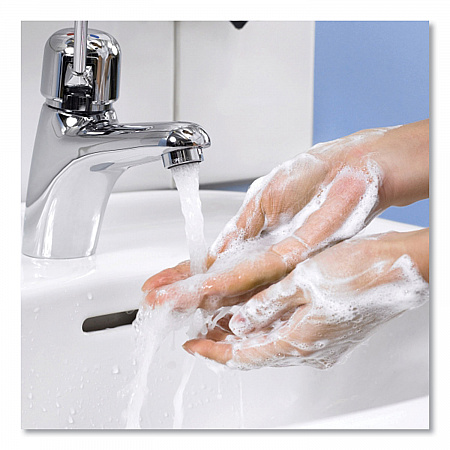 Premium Extra Mild Soap Refill, Unscented, 1 L, 6/Carton (400029)
