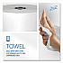 Pro Hard Roll Paper Towels with Absorbency Pockets for Scott Pro Dispenser, Gray Core Only, 1-Ply, 7.5