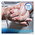 Antimicrobial Foam Skin Cleanser Refill, Fresh Scent, 1,200 mL, 2/Carton (91594)