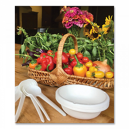 Vanguard Renewable and Compostable Sugarcane Bowls, 6 oz, White, 1,800/Carton (EPBL6NFA)