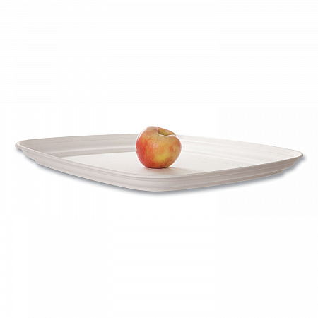 Regalia Renewable Sugarcane Tray, 10.24 x 16.54, White, Sugarcane, 100/Carton (EPSCTRS16NFA)