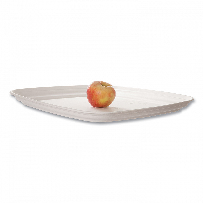 Regalia Renewable Sugarcane Tray, 10.24 x 16.54, White, Sugarcane, 100/Carton (EPSCTRS16NFA)