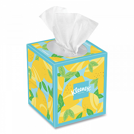 Soothing Lotion Facial Tissue, 3-Ply, White, 60 Sheets/Box, 27 Boxes/Carton (54271)