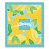 Soothing Lotion Facial Tissue, 3-Ply, White, 60 Sheets/Box, 27 Boxes/Carton (54271)