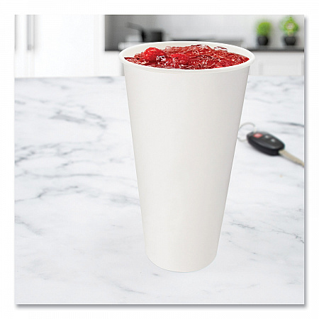 Double-Sided Poly (DSP) Paper Cold Cups, 21 oz, White, 1,000/Carton (RNP21P2050)