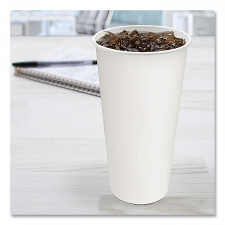 Double-Sided Poly (DSP) Paper Cold Cups, 21 oz, White, 1,000/Carton (RNP21P2050)
