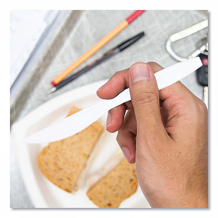 Reliance Mediumweight Cutlery, Standard Size, Knife, Plastic, White, 1,000/Carton (RSWK)