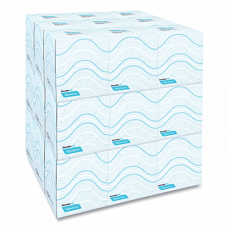 Signature Facial Tissue, Cube Box, 2-Ply, White, 90 Sheets/Box, 36 Boxes/Carton (F710)