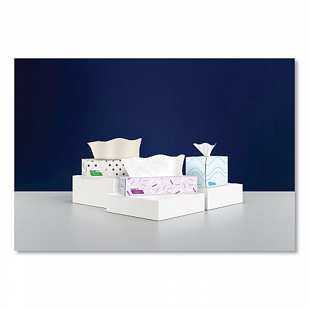 Signature Facial Tissue, Cube Box, 2-Ply, White, 90 Sheets/Box, 36 Boxes/Carton (F710)