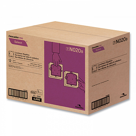 Select Single Serve Luncheon Napkins, 1-Ply, 12 x 12, White, 500/Pack, 6,000/Carton (N020)