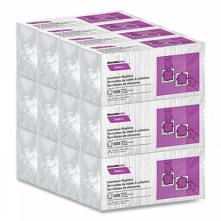 Select Single Serve Luncheon Napkins, 1-Ply, 12 x 12, White, 500/Pack, 6,000/Carton (N020)