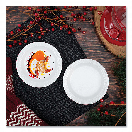 Quiet Classic Laminated Foam Dinnerware Plates, 6