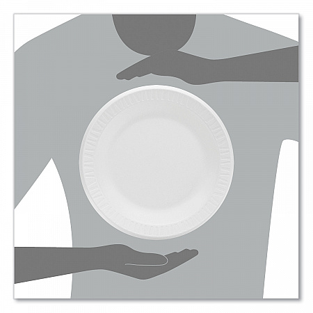 Concorde Foam Plate, 10.25