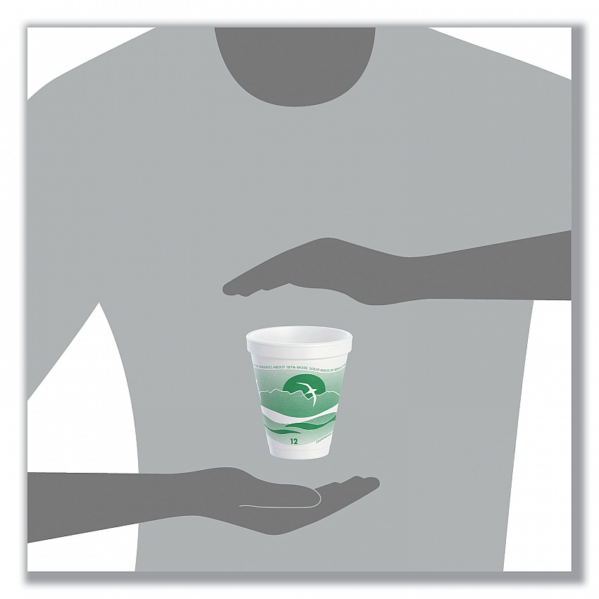 Horizon Hot/Cold Foam Drinking Cups, 12 oz, White/Green, 25/Bag, 40 Bags/Carton (12J16H)