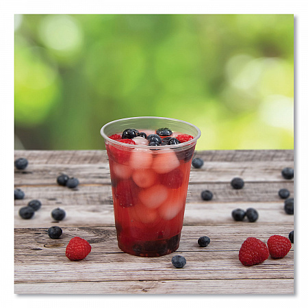 Conex ClearPro Plastic Cold Cups, 16 oz, Clear, 50/Pack, 20 Packs/Carton (16PX)