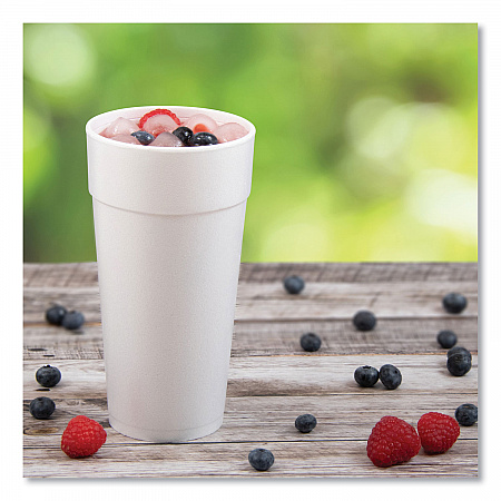 Foam Drink Cups, Hot/Cold, 24 oz, White, 25/Bag, 20 Bags/Carton (24J16)