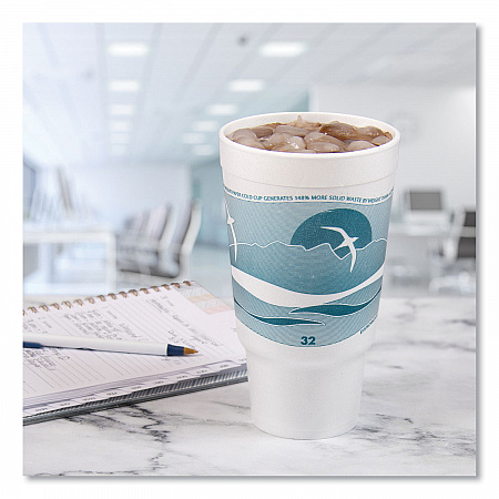 Horizon Hot/Cold Foam Drinking Cups, 32 oz, White/Teal, 16/Bag, 25 Bags/Carton (32AJ20H)