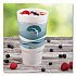 Horizon Hot/Cold Foam Drinking Cups, 32 oz, White/Teal, 16/Bag, 25 Bags/Carton (32AJ20H)