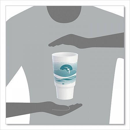 Horizon Hot/Cold Foam Drinking Cups, 32 oz, White/Teal, 16/Bag, 25 Bags/Carton (32AJ20H)