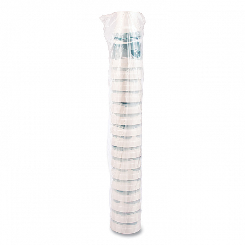 Horizon Hot/Cold Foam Drinking Cups, 32 oz, White/Teal, 16/Bag, 25 Bags/Carton (32AJ20H)