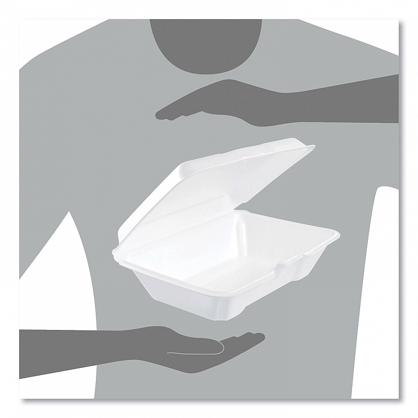 Foam Hinged Lid Containers, 6.4 x 9.3 x 2.9, White, 100/Pack, 2 Packs/Carton (205HT1)