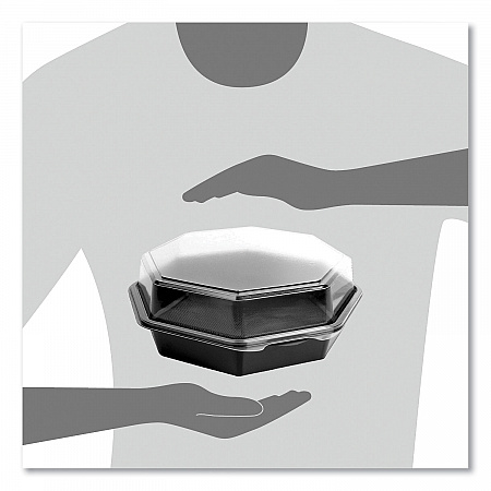 OctaView Hinged-Lid Cold Food Containers, 42 oz, 9.57