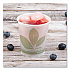 Bare Eco-Forward Paper Cold Cups, ProPlanet Seal, 5 oz, Green/White, 100/Sleeve, 30 Sleeves/Carton (R53BBJD110CT)