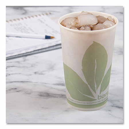 Bare Eco-Forward Paper Cold Cups, ProPlanet Seal, 16 oz, Green/White, 100/Sleeve, 10 Sleeves/Carton (RW16BBD110CT)