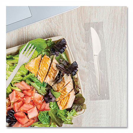 EcoSense Renewable Plant Starch Cutlery, Individually Wrapped, Mediumweight Knife, Plastic, Natural, 750/Carton (EPS071)