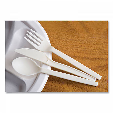 EcoSense Renewable Plant Starch Cutlery, Spoon, Plastic, Cream, 50/Pack, 20 Packs/Carton (EPS003)