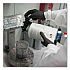Heavy-Duty Industrial Nitrile Gloves, Powder-Free, X-Large, 6 mil Thick, 9.5