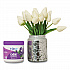 Super Odor Eliminator, Lavender and Fresh Linen, Purple, 14 oz Jar (901325)