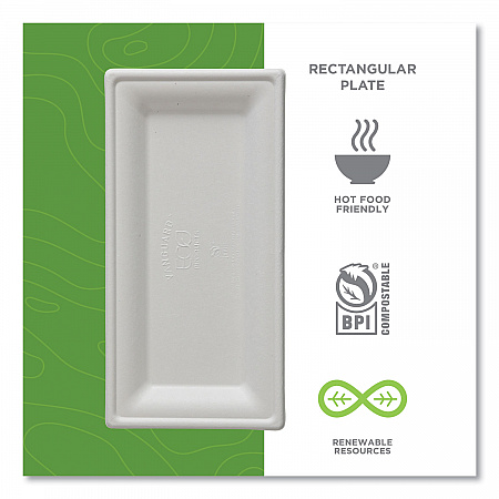 Vanguard Renewable and Compostable Sugarcane Plates, 5 x 10, White, 500/Carton (EPP024NFA)