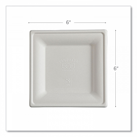 Vanguard Renewable and Compostable Sugarcane Plates, 6 x 6, White, 500/Carton (EPP021NFA)