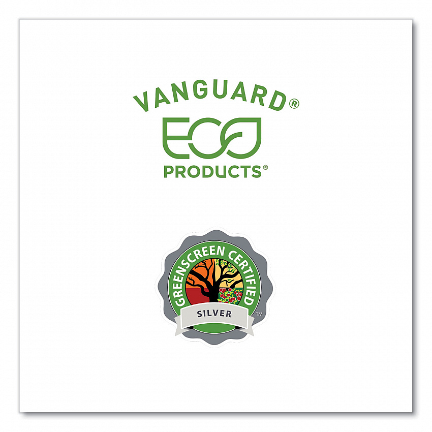 Vanguard Renewable and Compostable Sugarcane Plates, 10 x 10, White, 250/Carton (EPP023NFA)